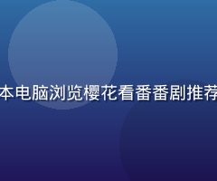 动漫爱好者在咖啡厅用笔记本电脑浏览樱花看番番剧推荐榜单，发现新番的休闲场景